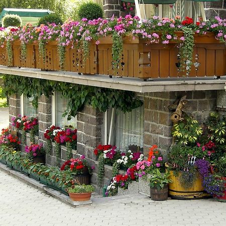 Albergo Trentino Моена Екстер'єр фото