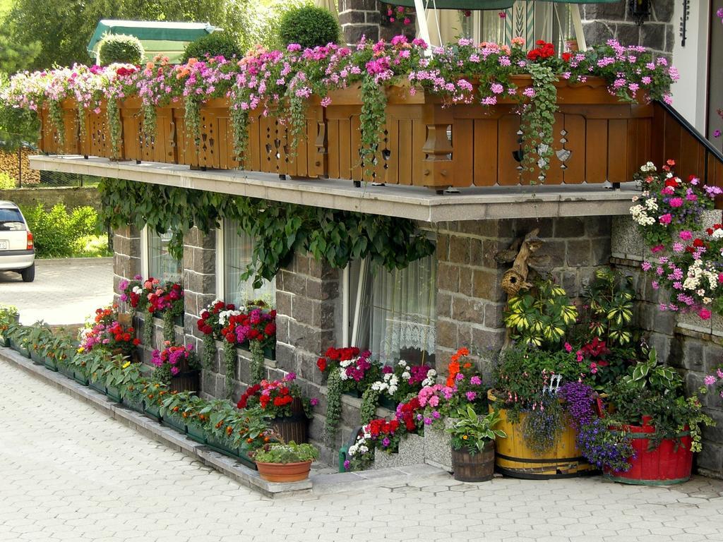 Albergo Trentino Моена Екстер'єр фото